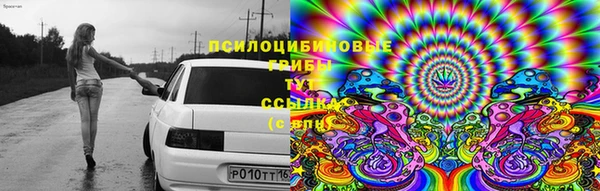амф Кодинск