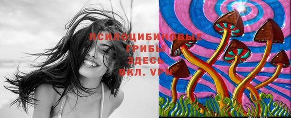 таблы Козельск