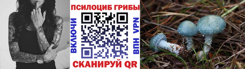 Купить  Воткинск  Галлюциногенные грибы Magic Shrooms 
